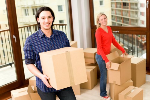Senior review of a removals complaint